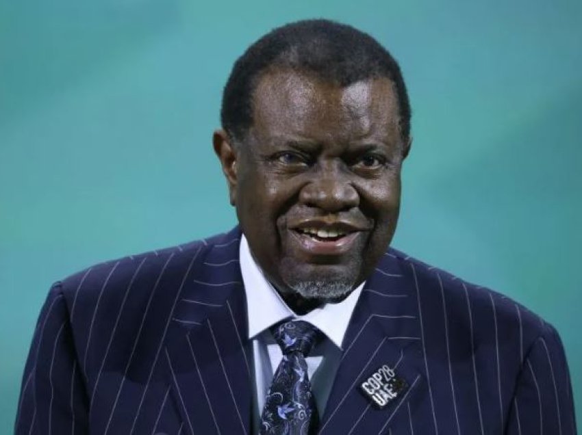Vdes presidenti i Namibisë, Hage Geingob