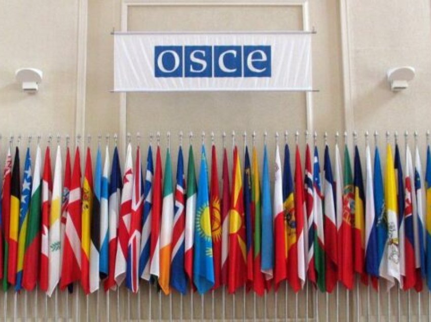 Amerikanët nga selia e OSBE-së në Vjenë çojnë mesazhe - Kosovës për dinarin, Serbisë për Radojiçiqin