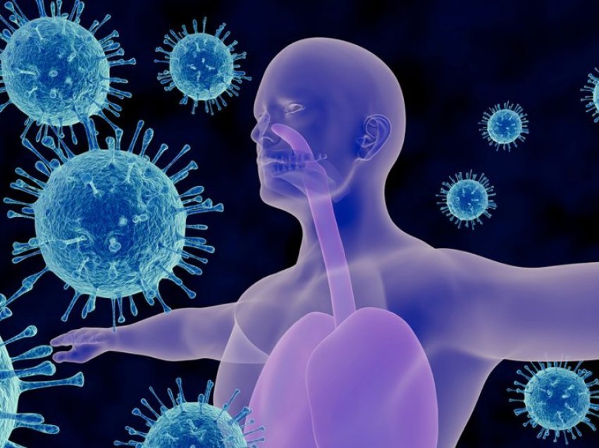 Plakja e imunitetit dhe ndikimi në shëndetin e organizmit, si të rimëkëmbni imunitetin tuaj