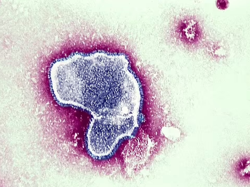 Vaksina kundër virusit të kollës së dimrit mund të ulë shtrimin në spitale në mbi 80%