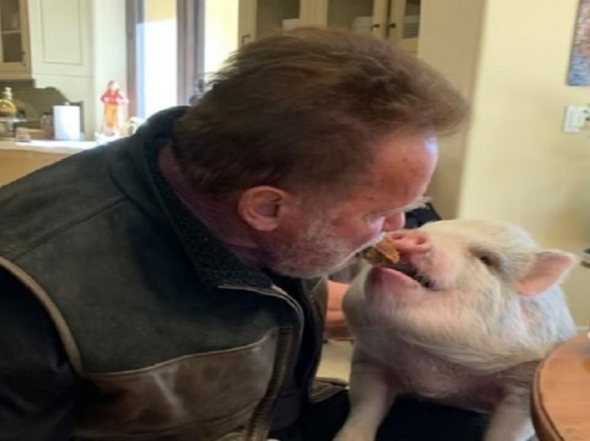 ​Arnold Schwarzenegger tmerroi fansat me foto: Ushqen derrin nga goja e tij
