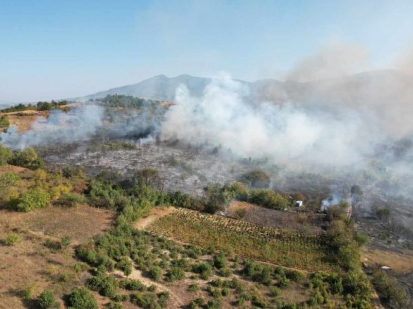 “Ndryshimet klimatike”, QMK në Maqedoni këtë vit pret më shumë zjarre dhe përmbytje