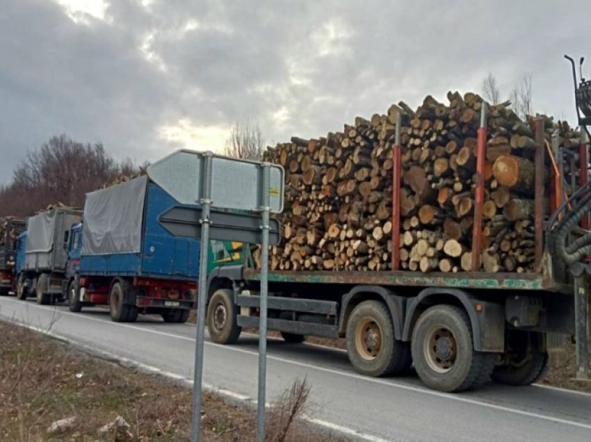 Policia ndalon kamionë që dyshohet se po bartnin dru ilegalisht