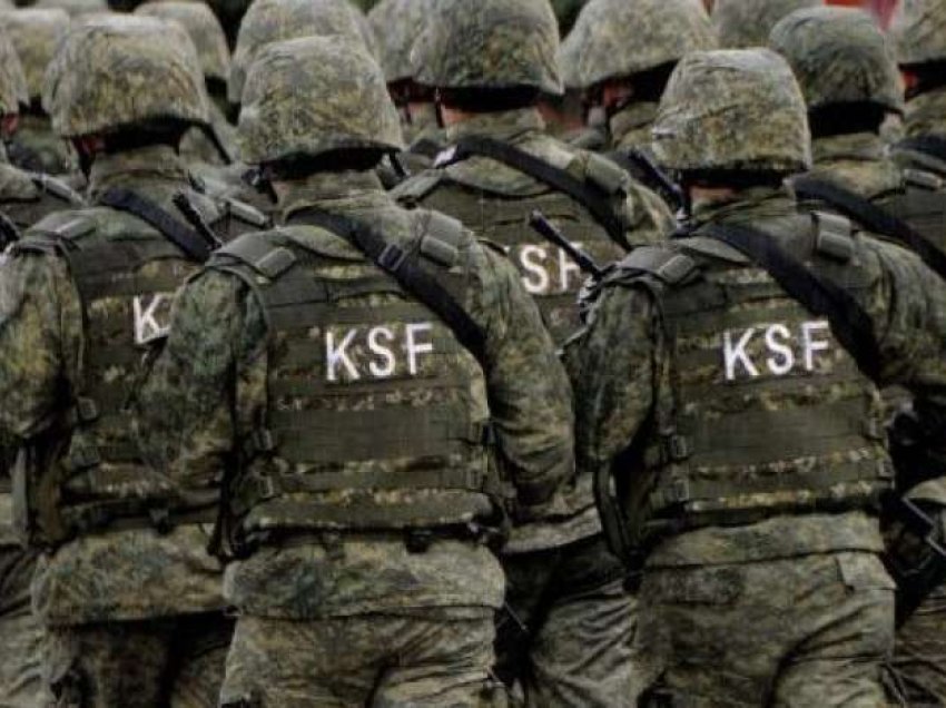 Pse ndihma ushtarake e Kosovës për Ukrainën është kaq domethënëse?