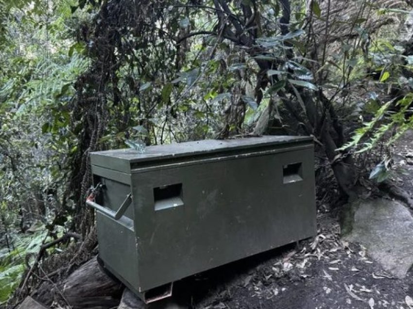 Një kuti e gjelbër u gjet thellë në një pyll australian – se çka brenda saj është ende mister, njerëzit dyshojnë për më të keqen