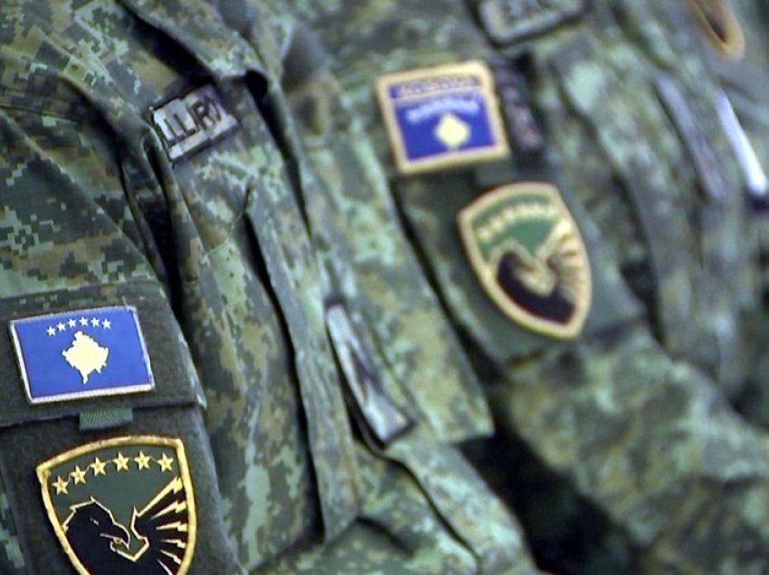 Kosova me ushtri të vogël, por zemër të madhe - ndihmon Ukrainën